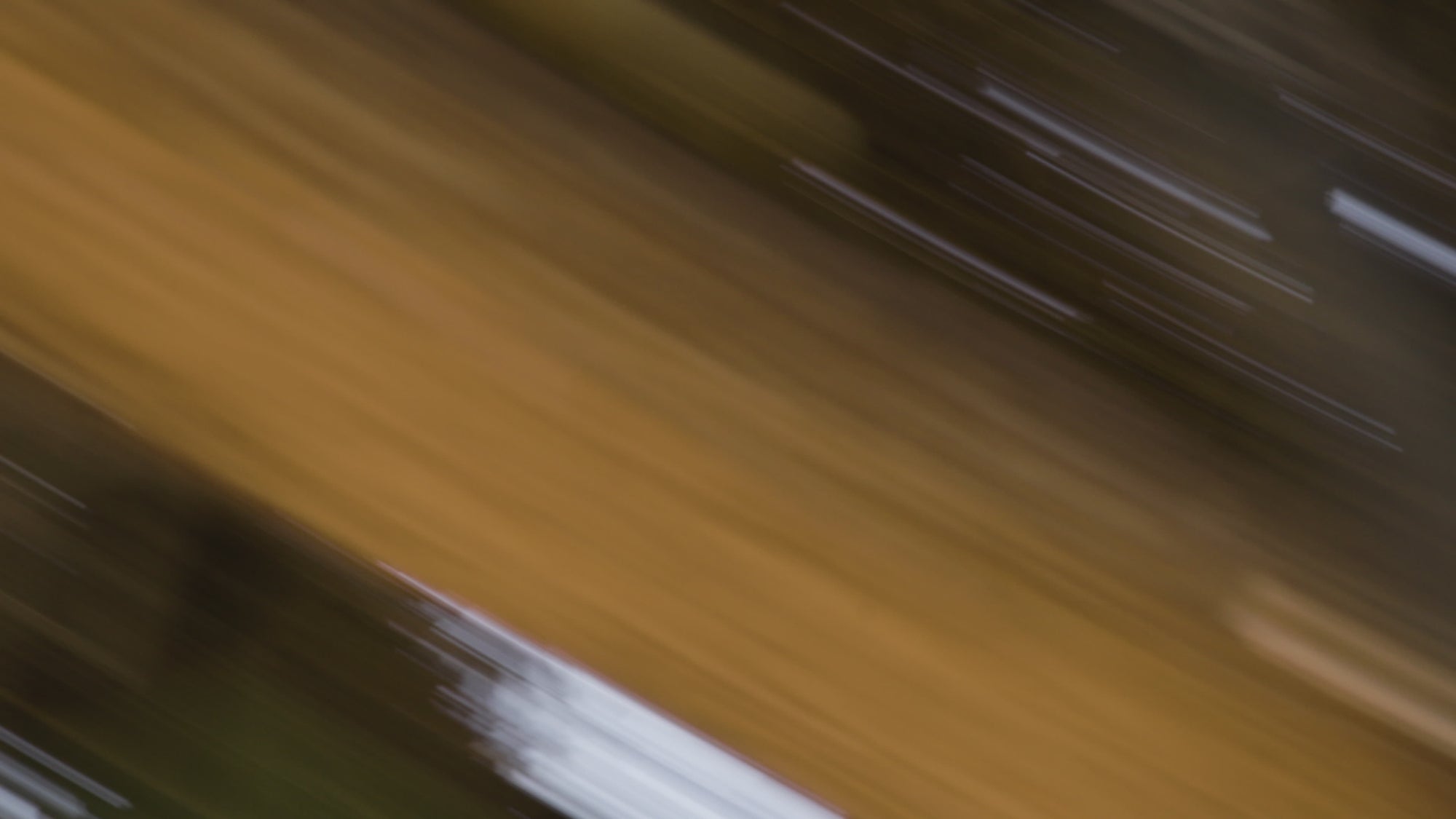 Wipe 19