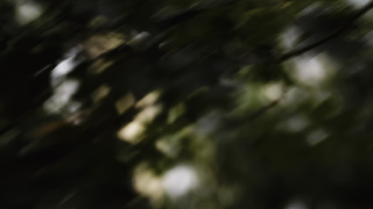 Environmental 04