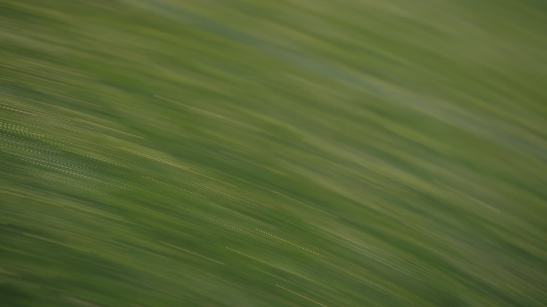 Slow Shutter 02